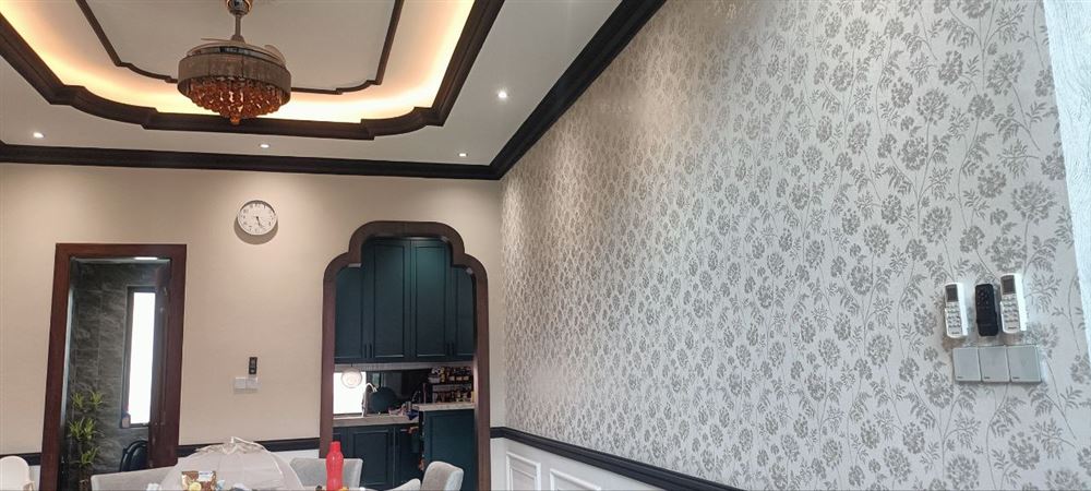 Interior smart switch installation with elegant ceiling design